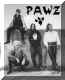 pawz.jpg (77773 bytes)